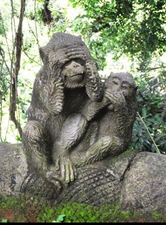 Monkey Forest Bali